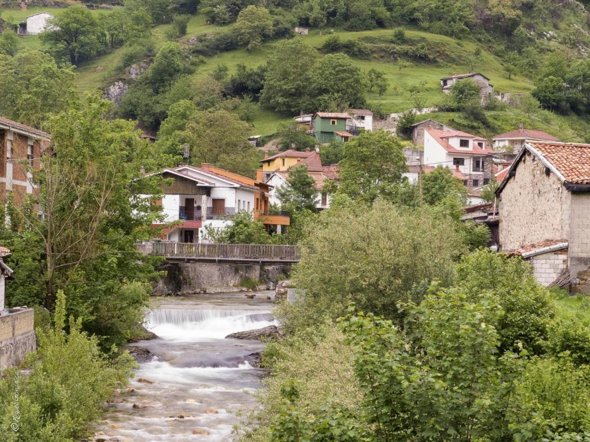 Apto. De Montana La Campa En Felechosa Esterno foto